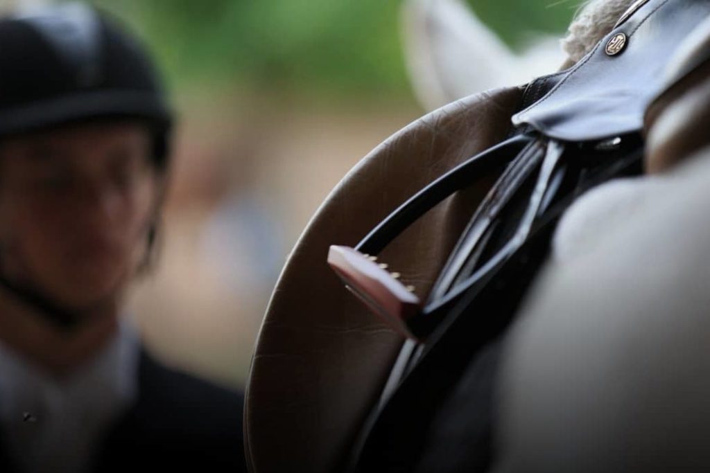 5 Steps To Starting a Successful Equestrian Business
