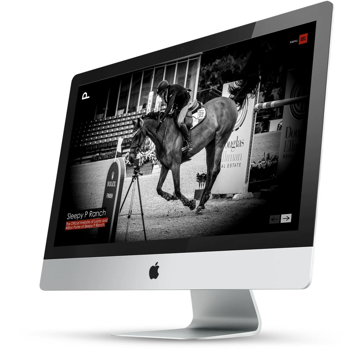 EQUESTRIAN MARKETING - MARKETING FOR EQUESTRIANS