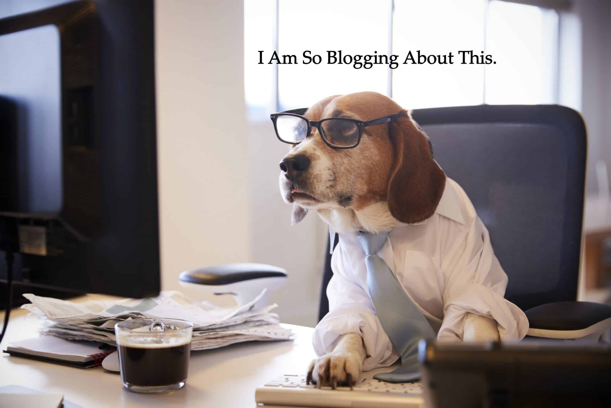 blogging blog scaled scaled