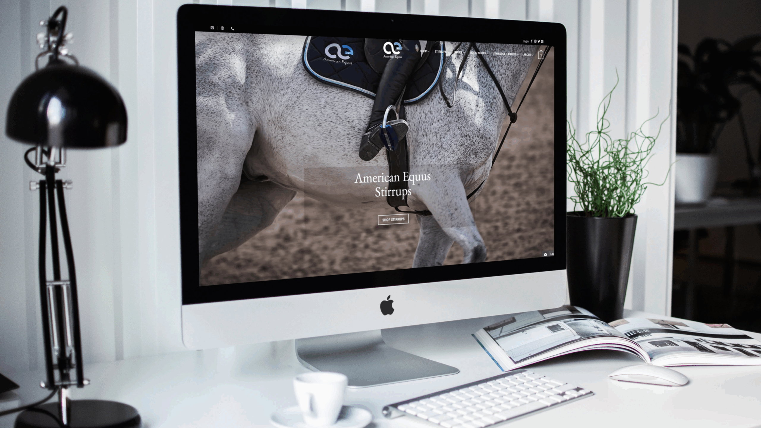 desktop landscape 1 scaled