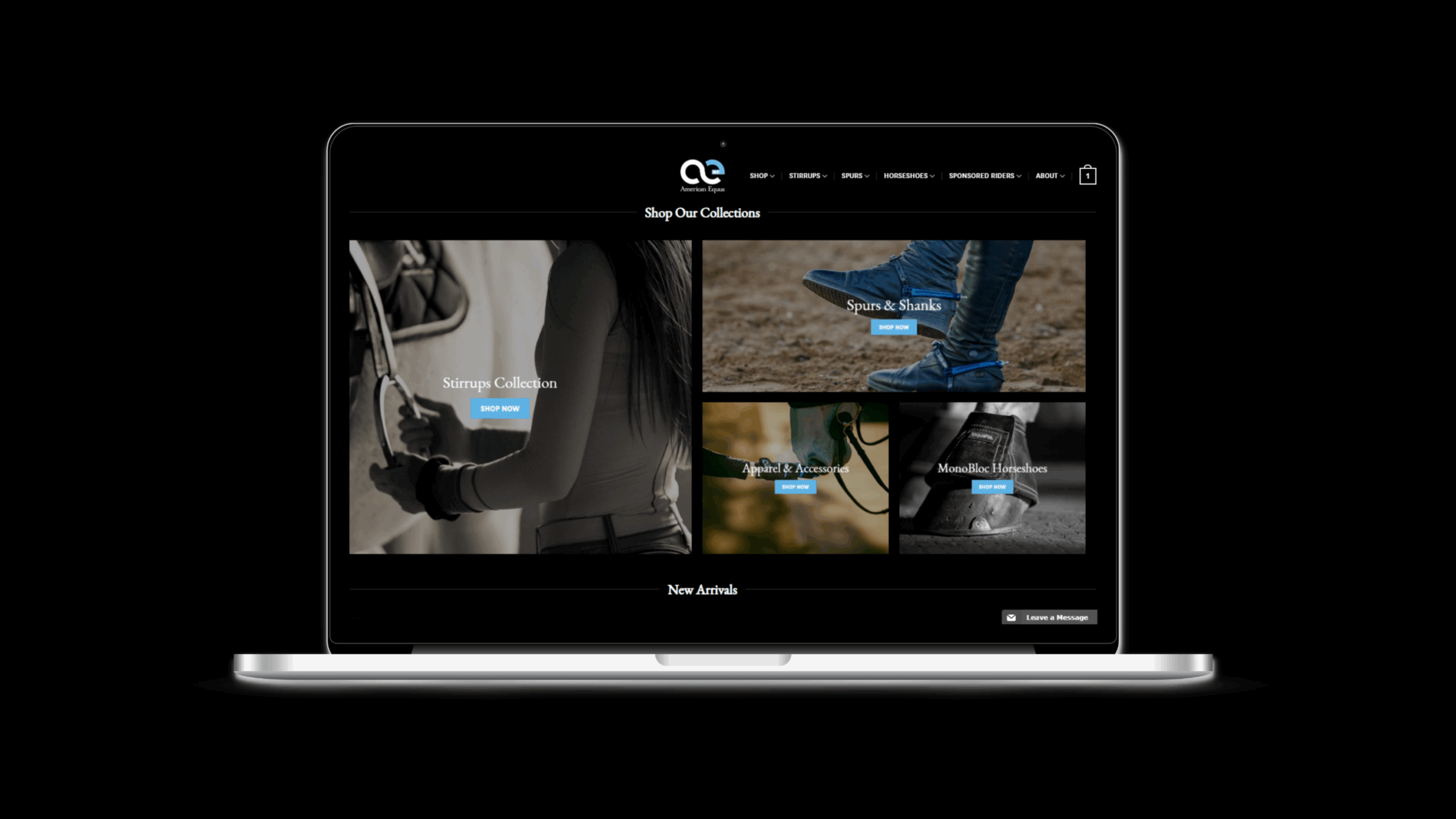 laptop isolated landscape 2 scaled