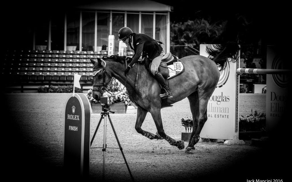 Sleepy P Ranch Lucas & Wilton Porter NewStyle Digital