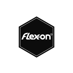 flex-on logo client