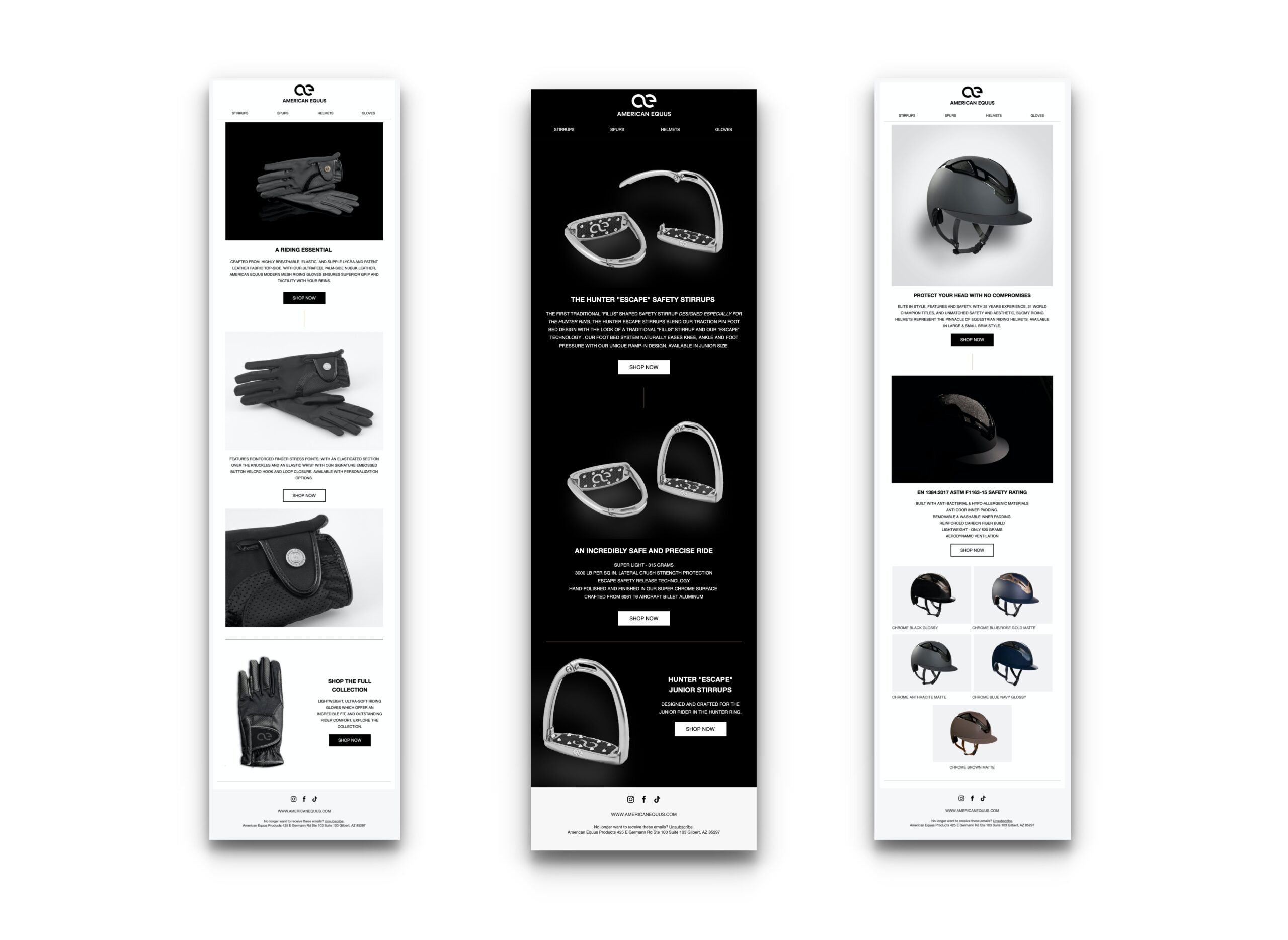american equus equestrian 2 branding and email campaign design 2