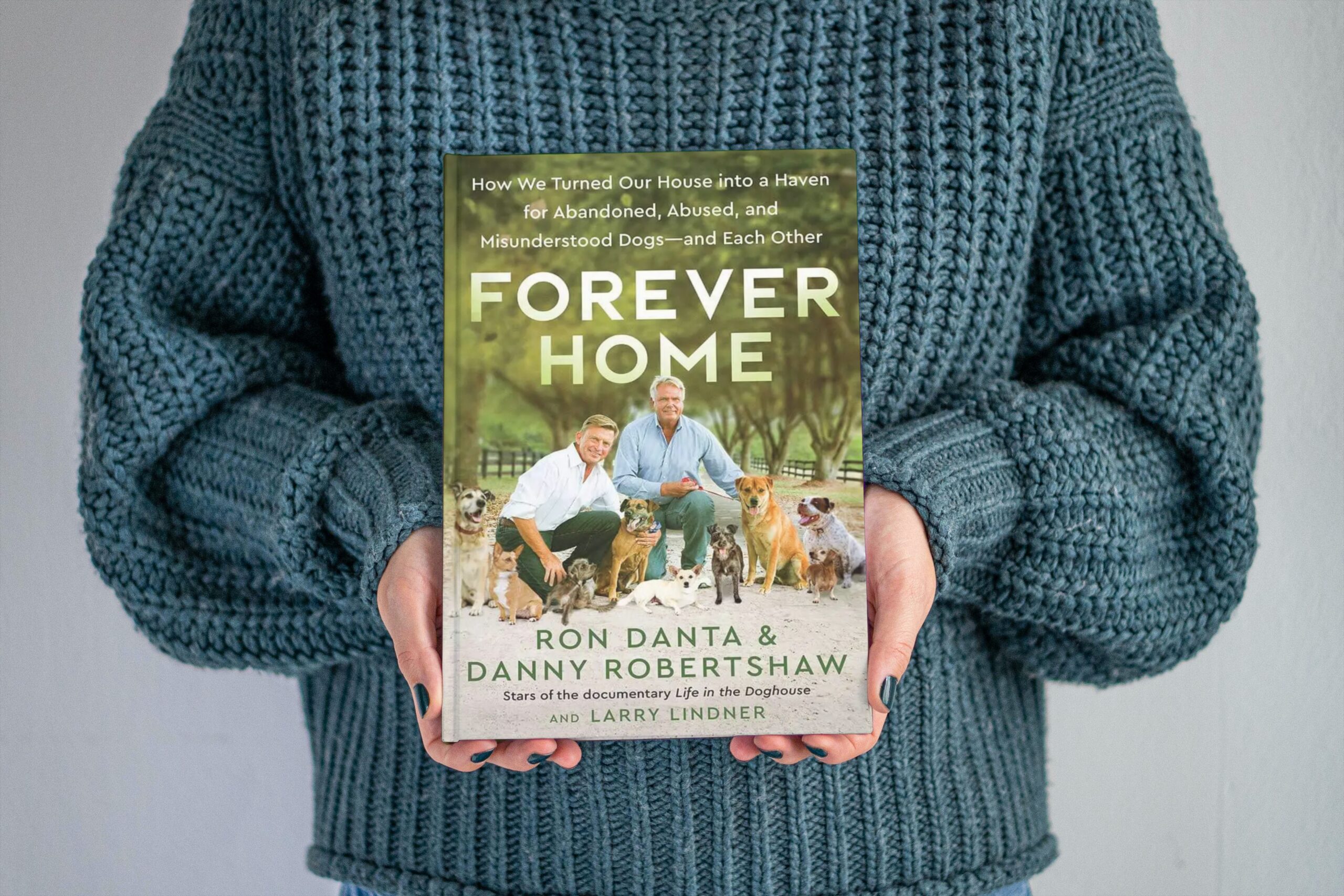 danny and rons forever home book - blue sweater