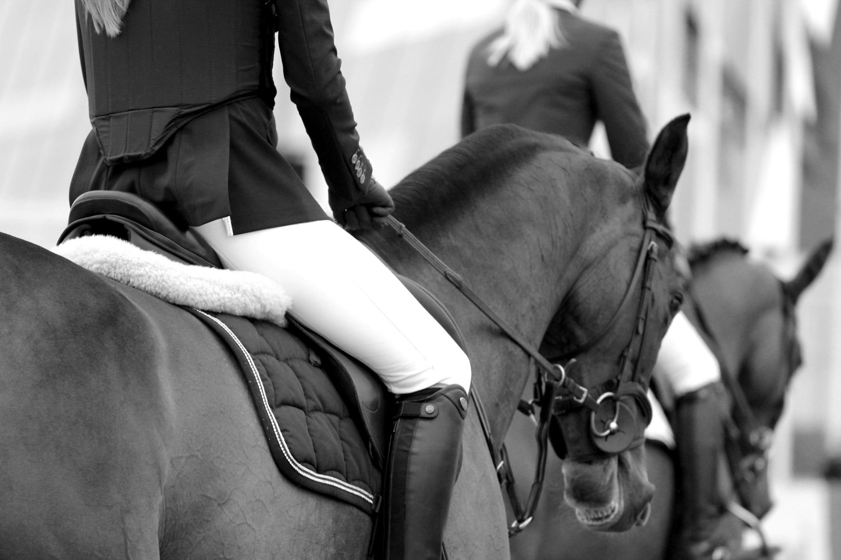 how big is the equestrian market? Size, Diversity, and Opportunities