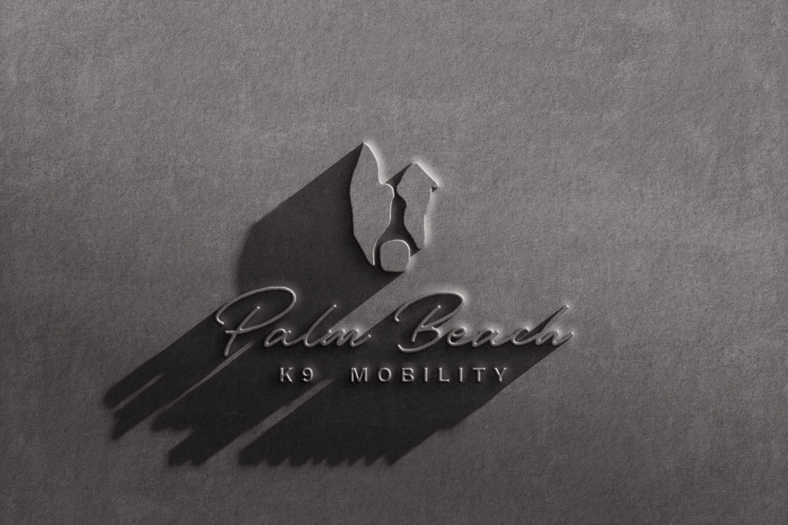 palm beach k9 mobility branding and website design