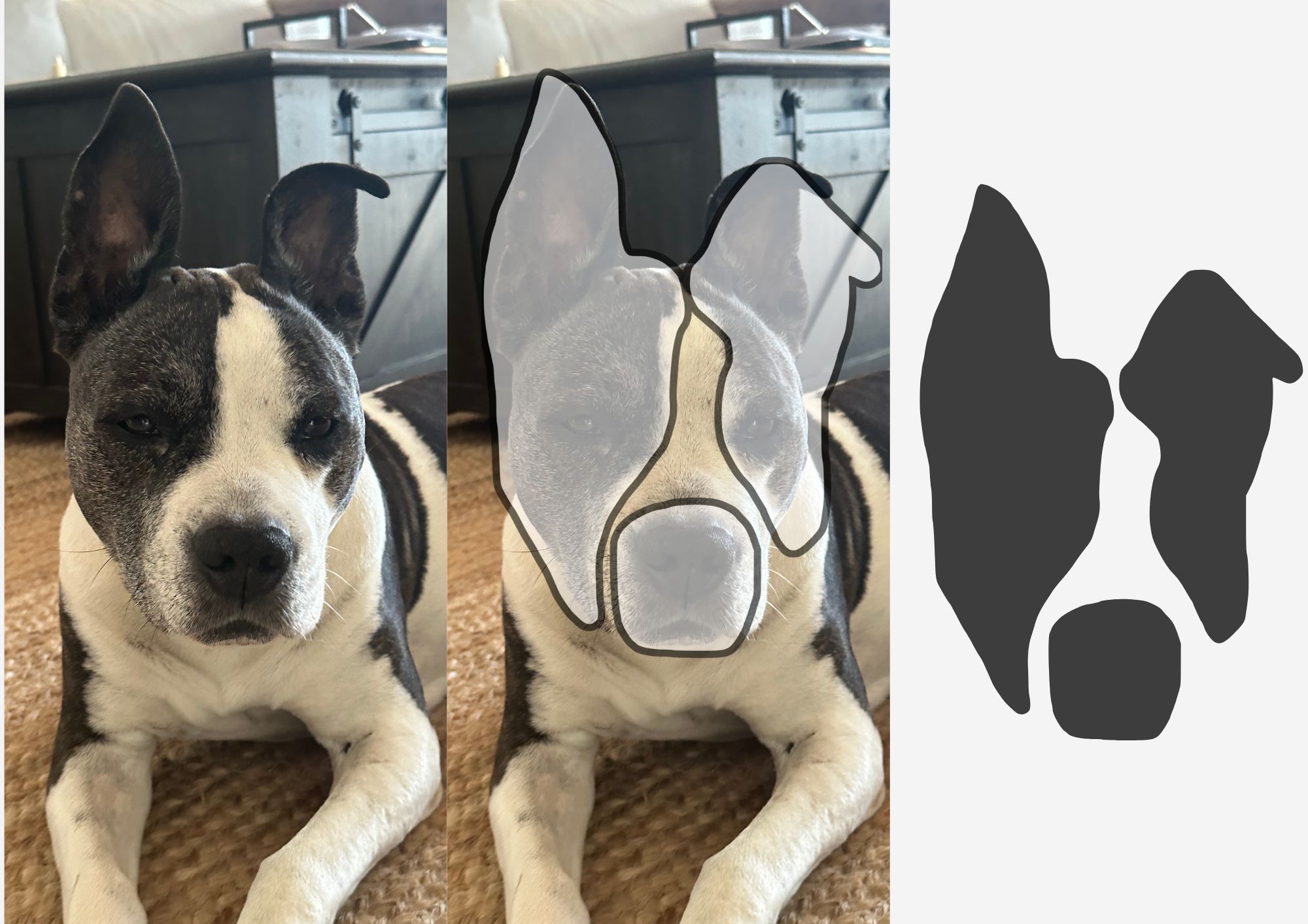 palm beach k9 mobility logo creation